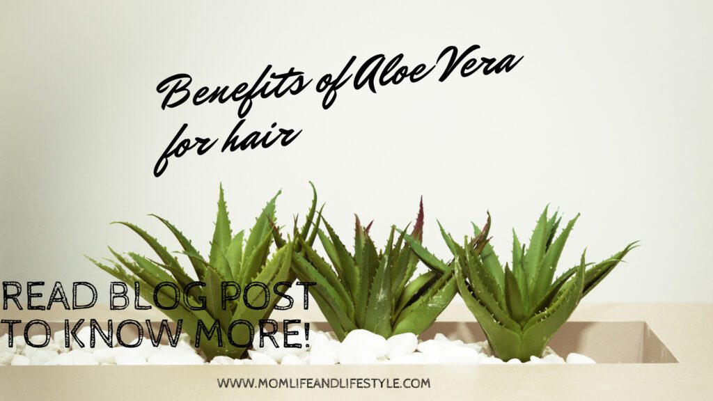 Benefits of Aloe vera for hair